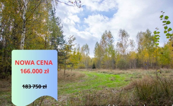 działka na sprzedaż - Zabłudów (gw), Skrybicze