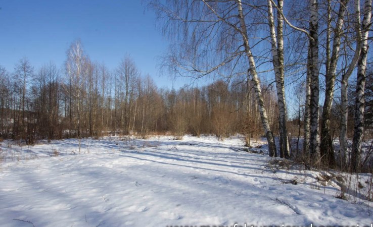 działka na sprzedaż - Zabłudów (gw), Skrybicze