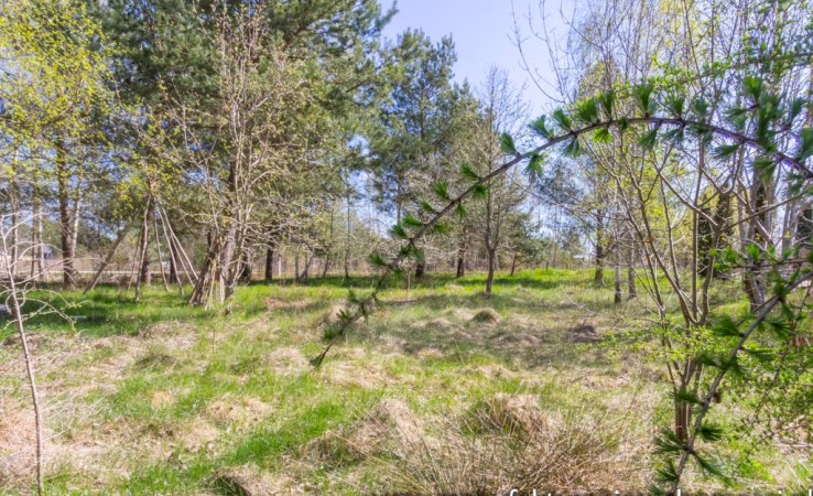 działka na sprzedaż - Zabłudów (gw), Skrybicze