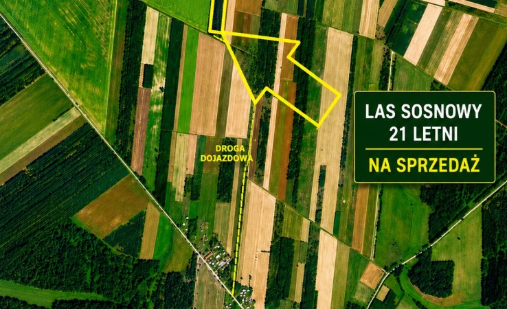 działka na sprzedaż - Nurzec-Stacja, Tymianka